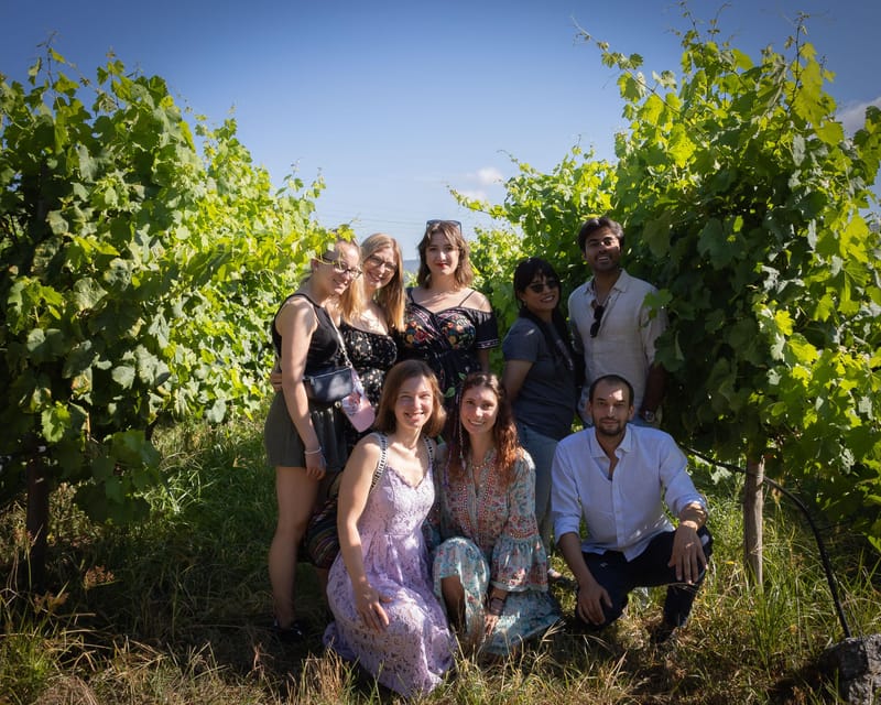 Porto: Douro Valley Wine Tour with a Sommelier & Boat Trip - The Pacing and Comfort of the Tour