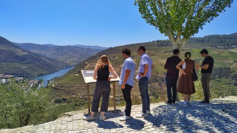 Porto: Douro Valley Wine Tour with Tastings, Boat, and Lunch - Discovering the Douro Valley from Porto