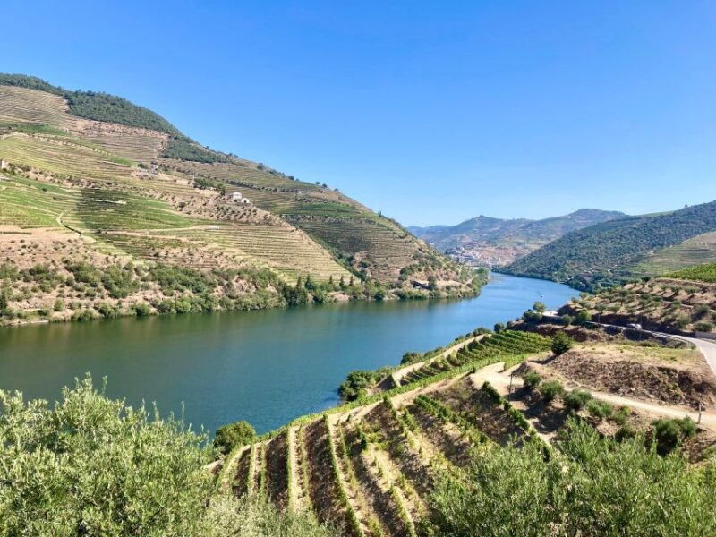 Porto: Douro Valley Wine Tour with Tastings, Boat, and Lunch - Scenic Boat Ride on the Douro River