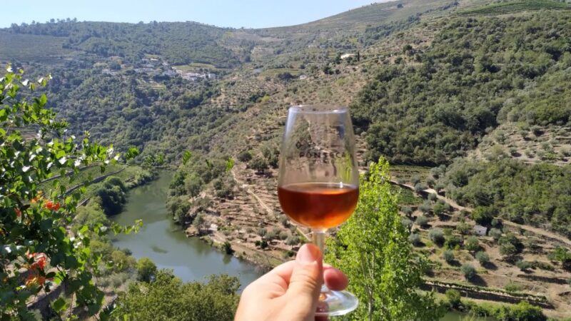 Porto: Douro Valley Wine Tour with Tastings, Boat, and Lunch - Visiting a Small Douro Winery with a Garden Setting