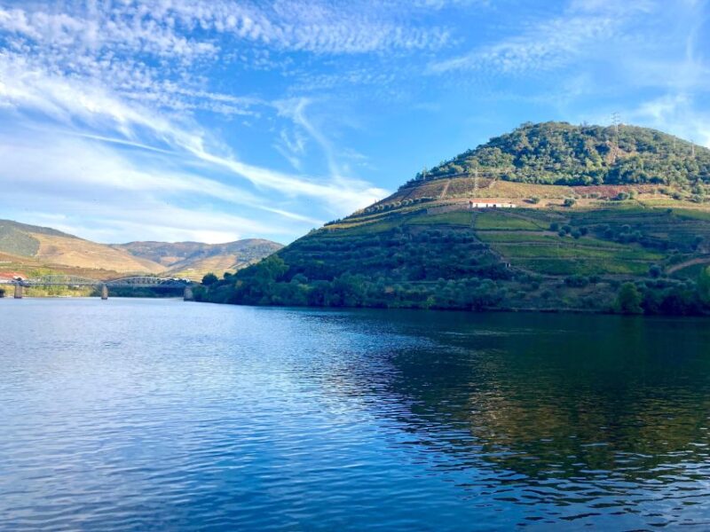 Porto: Douro Valley Wine Tour with Tastings, Boat, and Lunch - Why This Tour Offers Great Value