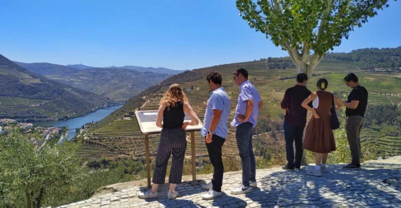 Porto: Douro Valley Wine Tour with Tastings, Boat, and Lunch - The Sum Up: A Personal, Authentic Way to Discover the Douro Valley
