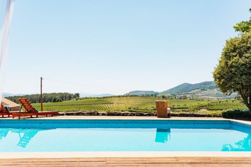 Porto: Douro Valley with Winery Lunch, Tastings & Cruise - Scenic Viewpoint and Pinhão River Cruise