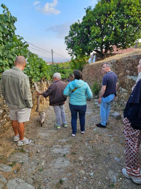 Porto-Douro: visit to a Quinta with wine tasting and train trip - Key Points