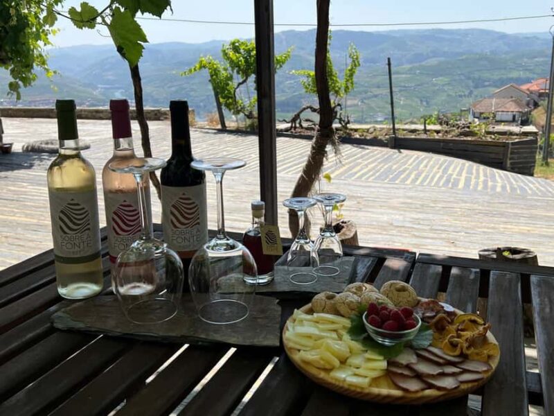 Porto-Douro: visit to a Quinta with wine tasting and train trip - The Guide’s Expertise and Hospitality