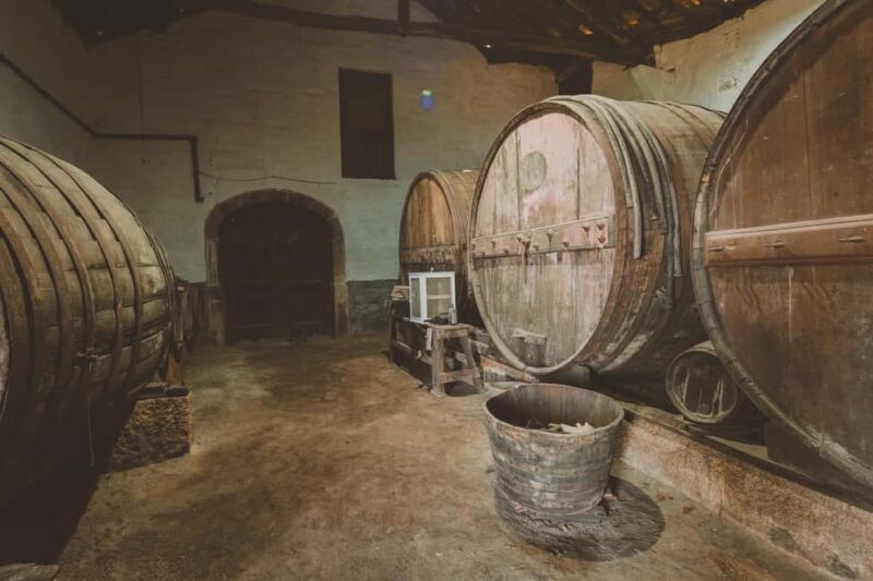 Porto-Douro: visit to a Quinta with wine tasting and train trip - Return Journey: From Régua to Porto by Train