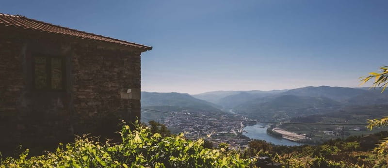 Porto-Douro: visit to a Quinta with wine tasting and train trip - Practical Details: Meeting Point and Accessibility