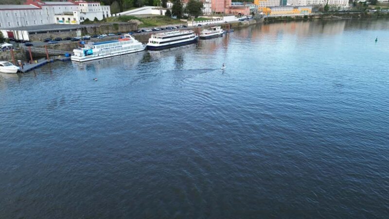 Porto: E-foil adventure on the Douro River - Key Points