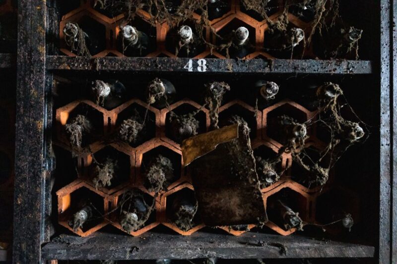 Porto: Food & Wine Tasting Walking Tour with Port Wine Cave - The Food & Wine Experience in Vila Nova de Gaia