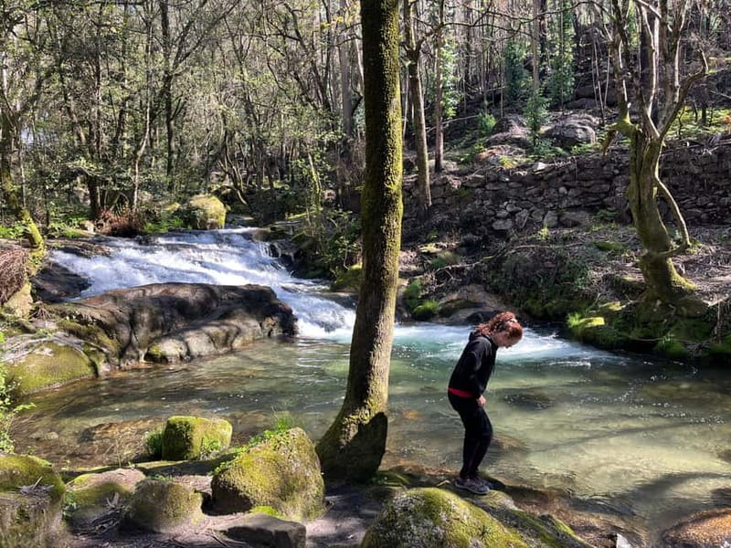 Porto: Forest Waterfalls & Roman Ruins Trail Tour - Key Points