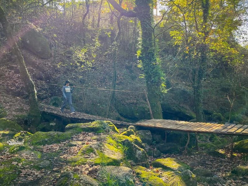 Porto: Forest Waterfalls & Roman Ruins Trail Tour - Practical Tips for Your Forest & Ruins Trek