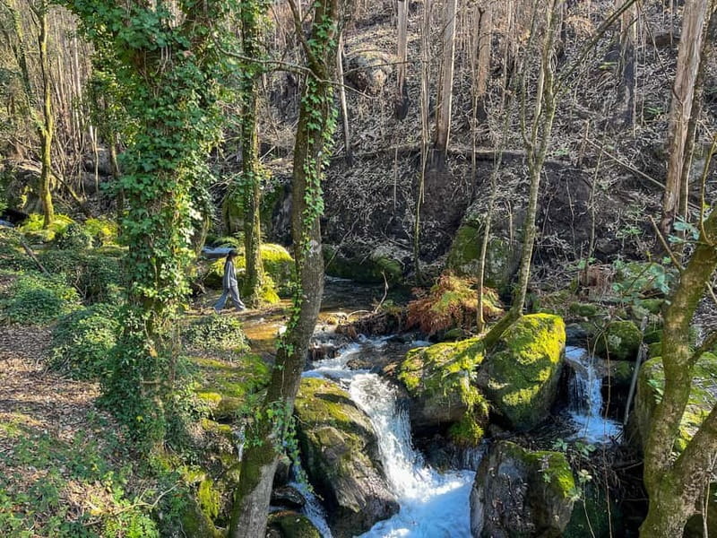 Porto: Forest Waterfalls & Roman Ruins Trail Tour - The Experience of a Guided Walk in Porto’s Countryside