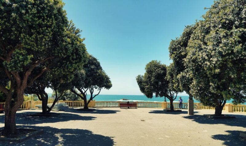 Porto: Full-Day All-Inclusive Private City Sightseeing Tour - Additional Activities and Recommendations