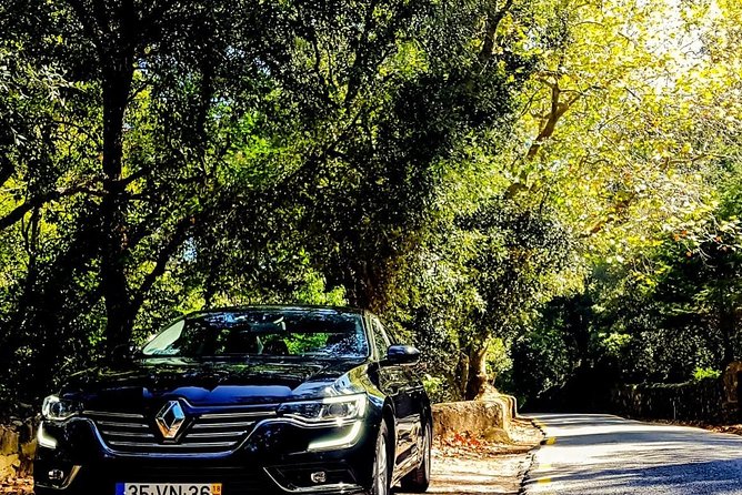 Porto Full Day Private Tour from Lisbon - Porto in a Day: A Private, Personal Experience