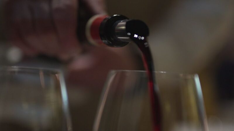 Porto Gourmet Guided Food Tour and Wine - What’s Included and What’s Not