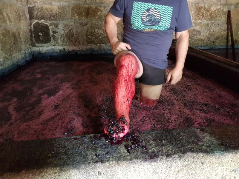 Porto: Green Wine Tasting and visit - Guided Green Wine Tasting with Local Experts