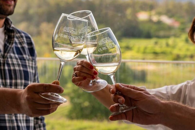 Porto: Green Wine Tasting and visit - Lunch in the Vineyard: Picnic Style with Regional Flavors