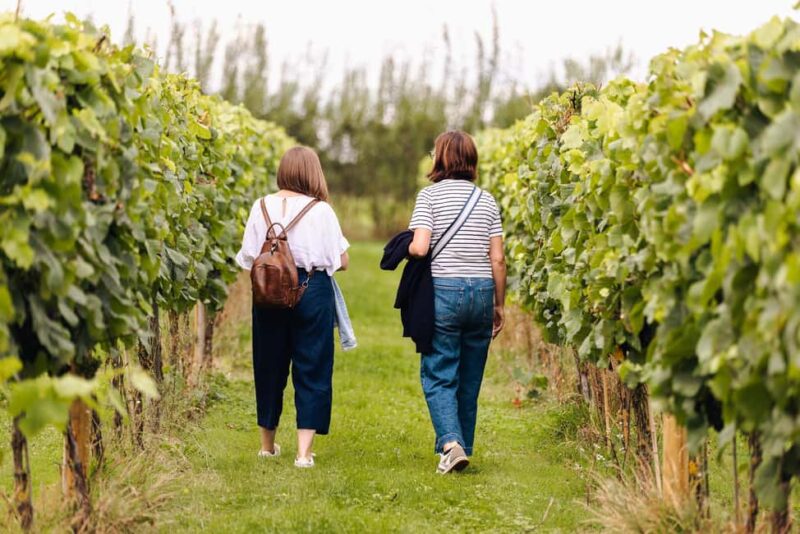 Porto: Green Wine Tasting and visit - Who Will Enjoy This Tour?