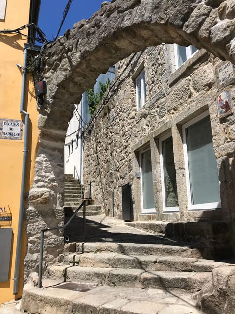 Porto: Guided City Highlights Walking Tour - Exploring Rua das Flores and Liberdade Square’s Charm