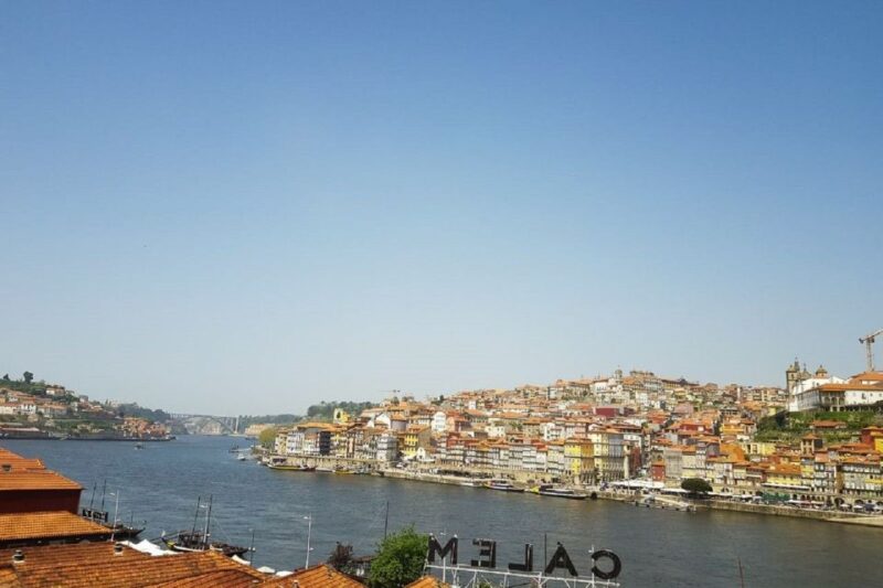 Porto: Guided Walking Tour and Lello Bookshop - Visiting Bolhão Market and Local Life