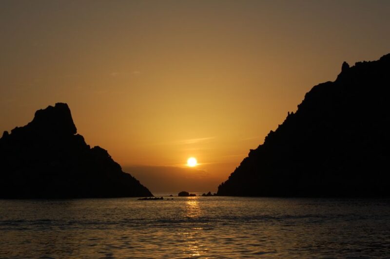 Porto: Half-Day Cruise Scandola Reserve & Calanche de Piana - Wildlife and Marine Life Sightings During the Cruise