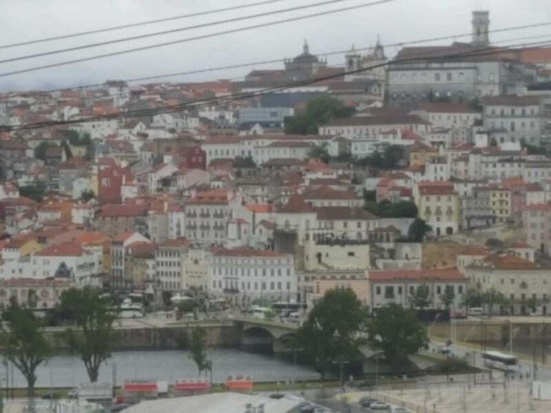Porto: Half-Day Small Group City Tour with port wine tasting - Inside the Clérigos Tower and Church