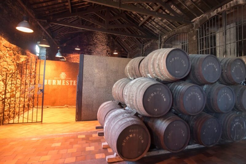 Porto: Half-Day Tour with Port Wine Cellar Visit and Tasting - Key Points