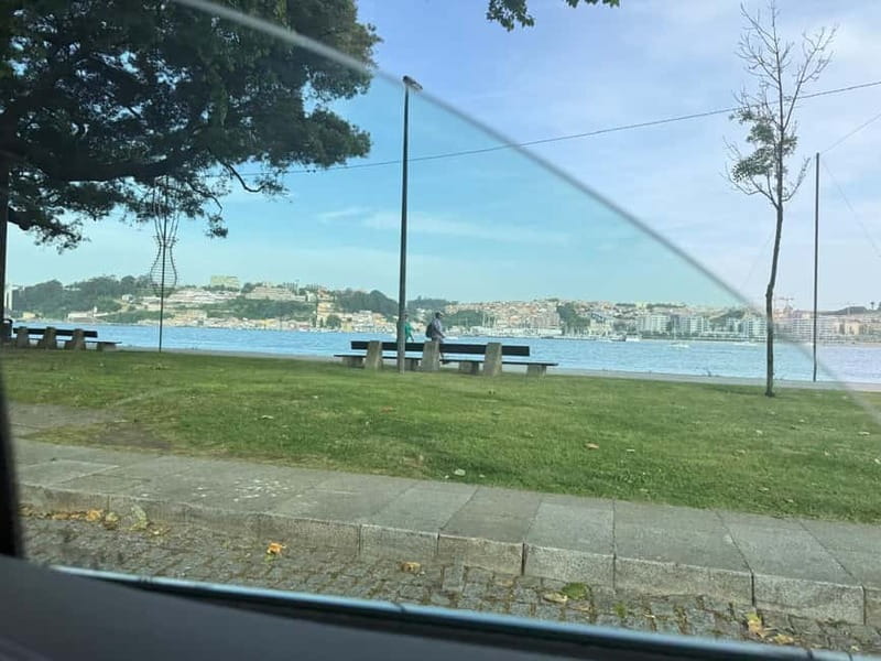 Porto Like Never Before: Private Tours with Local Touch - Comparing with Similar Experiences