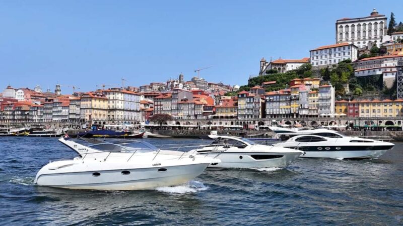 Porto: Luxury 6 Bridges Yacht Cruise with Wine & Snacks - Explore Gaia and the Fishing Village of São Pedro da Afurada