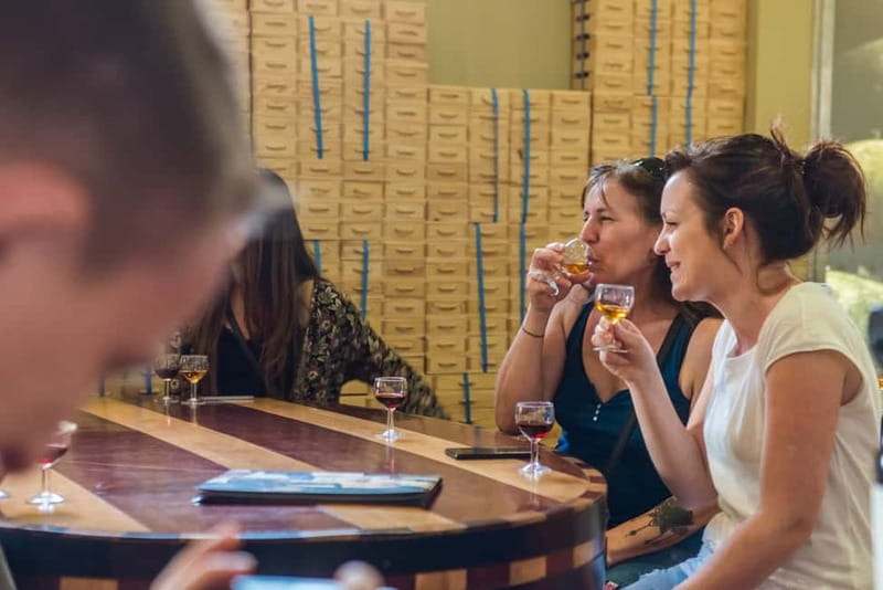 Porto: Magic Train Tour and Port Wine Cellar with Tastings - Explore Porto with the Magic Train and Port Wine Cellar Tour