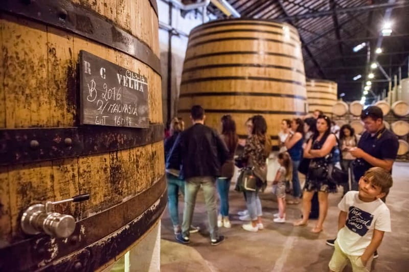 Porto: Magic Train Tour and Port Wine Cellar with Tastings - Visiting the Oldest Portuguese Wine Cellar: Real Companhia Velha