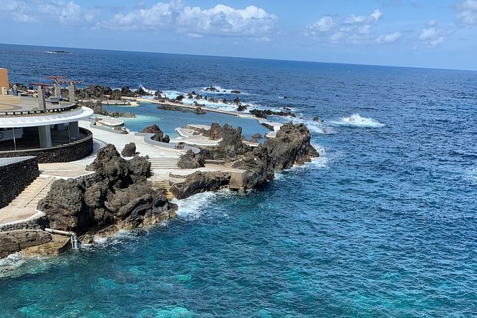 Porto Moniz Lava Pools, Fanal Forest and Skywalk 4x4 Experience - Fanal Forest: Portugal’s Natural Wonder