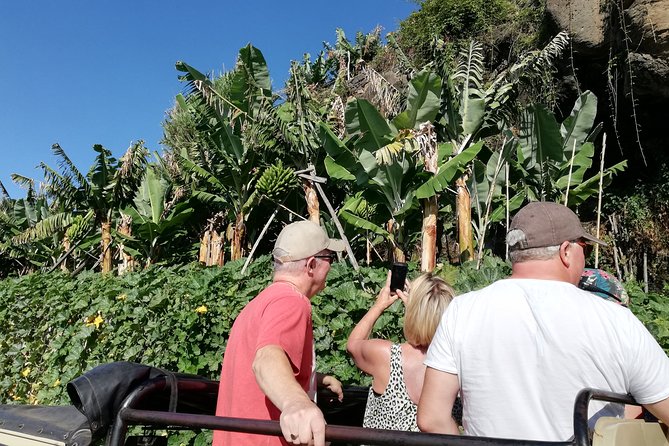Porto Moniz - Private Full-Day - Safari 4x4 Tour - NorthWest - Crossing the Madeiran Tundra at Paul da Serra