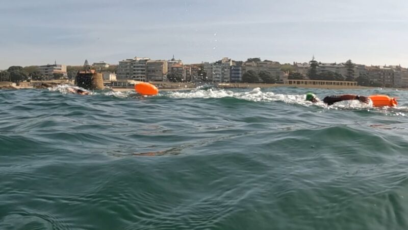 Porto: Open Water Swimming Tour with Wetsuit - Logistics and Group Size