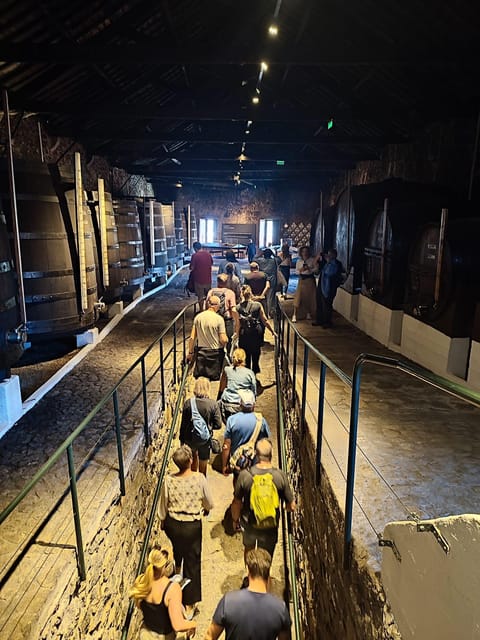 Porto: Port and Douro Wine Walking Tour with Tastings - Tasting a Wide Range of Port and Douro Wines