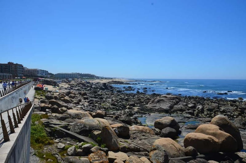 Porto: Porto Bike or E-Bike Atlantic Route - The Coastal Ride from Furadouro to the Train Station