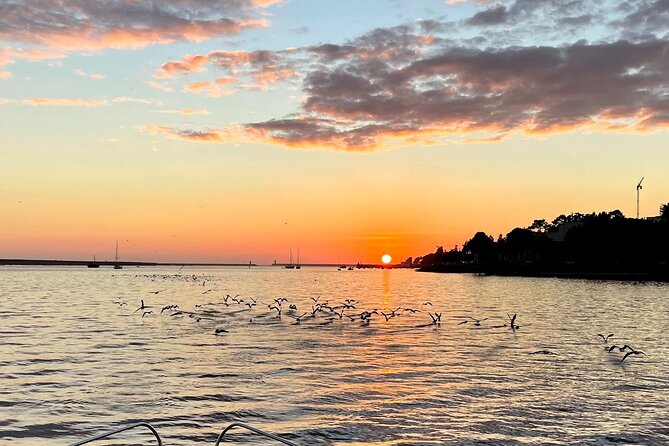 Porto: Porto City views Tour with Sunset Option,(shared) - The Scenic Voyage Through the Douro River