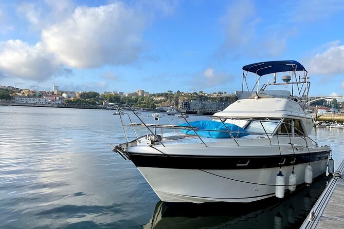 Porto: Porto City views Tour with Sunset Option,(shared) - Guides and Personal Service: Anselmo, Sammy, Matilde, and Pedro