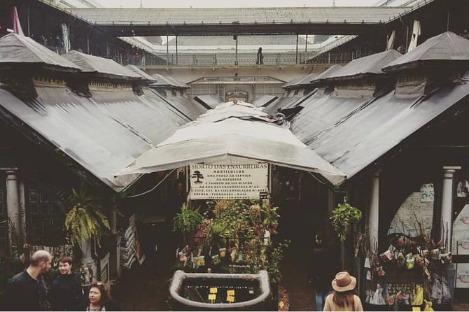 Porto Premium Tour: History, Culture & Sailing Experience - Exploring the Porto Cathedral in the Historic Center