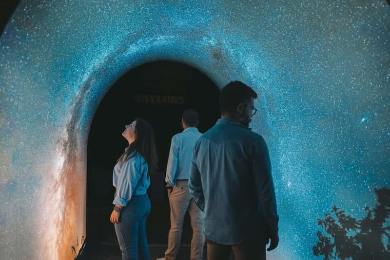 Porto: Prestige Tour & Vintage Premium Tasting at Taylor's - The Connoisseur Masterclass: Vintage and Ultra-Aged Ports