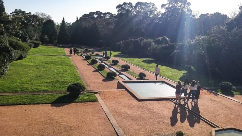 Porto private Afternoon Tour, by those who know it well. - Sampling Portos Culinary and Wine Delights