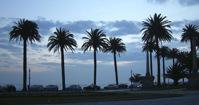 Porto: Private Bike Tour with a Local Guide - Porto: Private Bike Tour with a Local Guide Overview