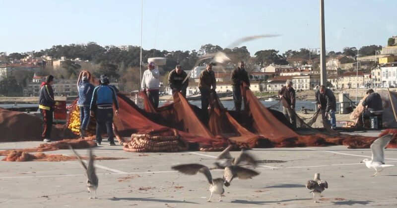 Porto: Private Bike Tour with a Local Guide - Discovering Local Art and Birdwatching Spots