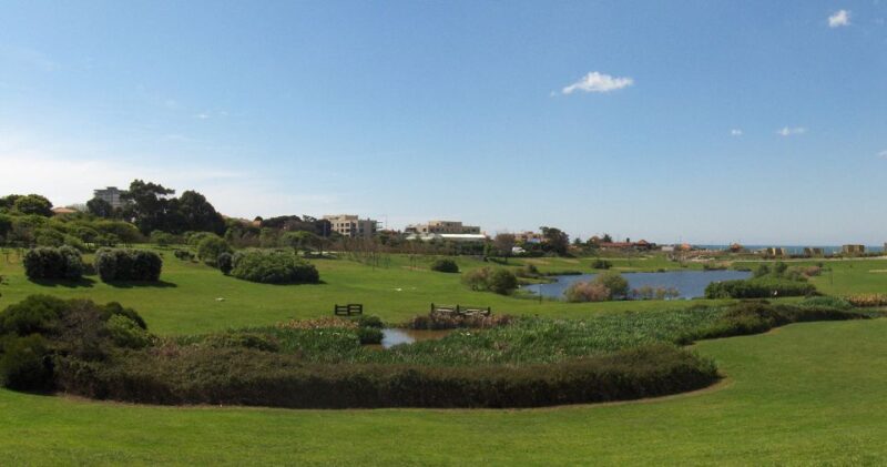 Porto: Private Bike Tour with a Local Guide - The Guide’s Role and Tour Pacing