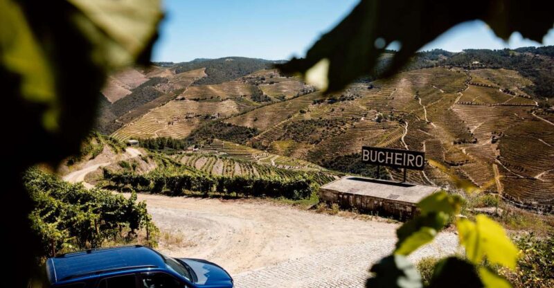 Porto: Private Douro Valley 4x4 Tour with Lunch - Scenic Vineyards and Viewpoints in the Douro Mountains