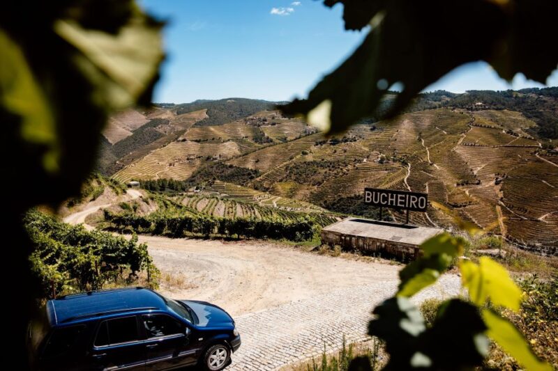 Porto: Private Douro Valley 4x4 Tour with Lunch - Flexibility and Cancellation Policies