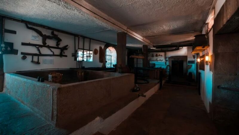 Porto: Private Douro Valley 4x4 Tour with Lunch - Who Would Enjoy This Tour Most