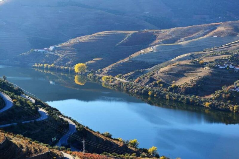 Porto: Private Douro Valley tour with lunch, wine tasting, and a cruise - 2 wineries - The Return Journey to Porto or Matosinhos