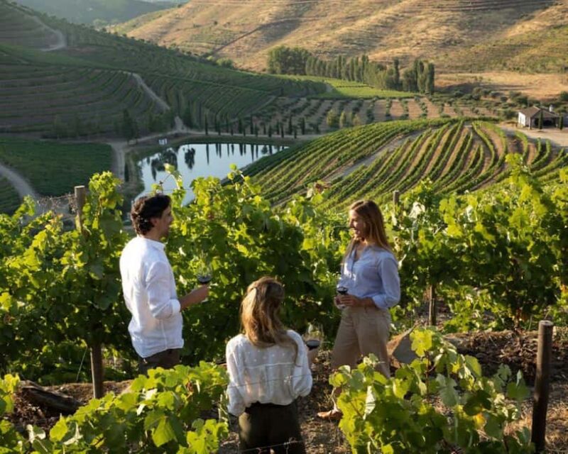 Porto: Private Douro Valley tour with lunch, wine tasting, and a cruise - 2 wineries - Practical Details: Group Size, Availability, and Booking