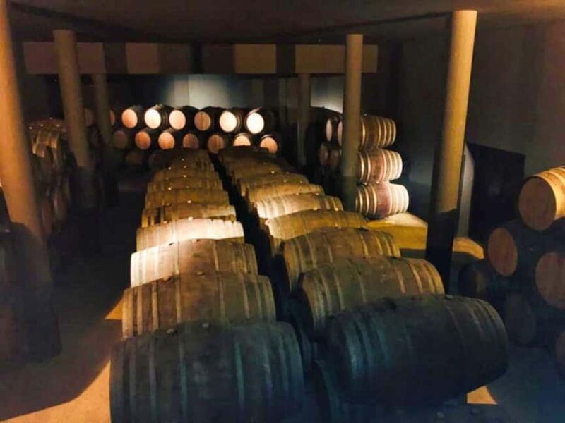 Porto: Private Douro Valley tour with lunch, wine tasting, and a cruise - 2 wineries - What Sets This Tour Apart: Focus on Authenticity and Relaxation